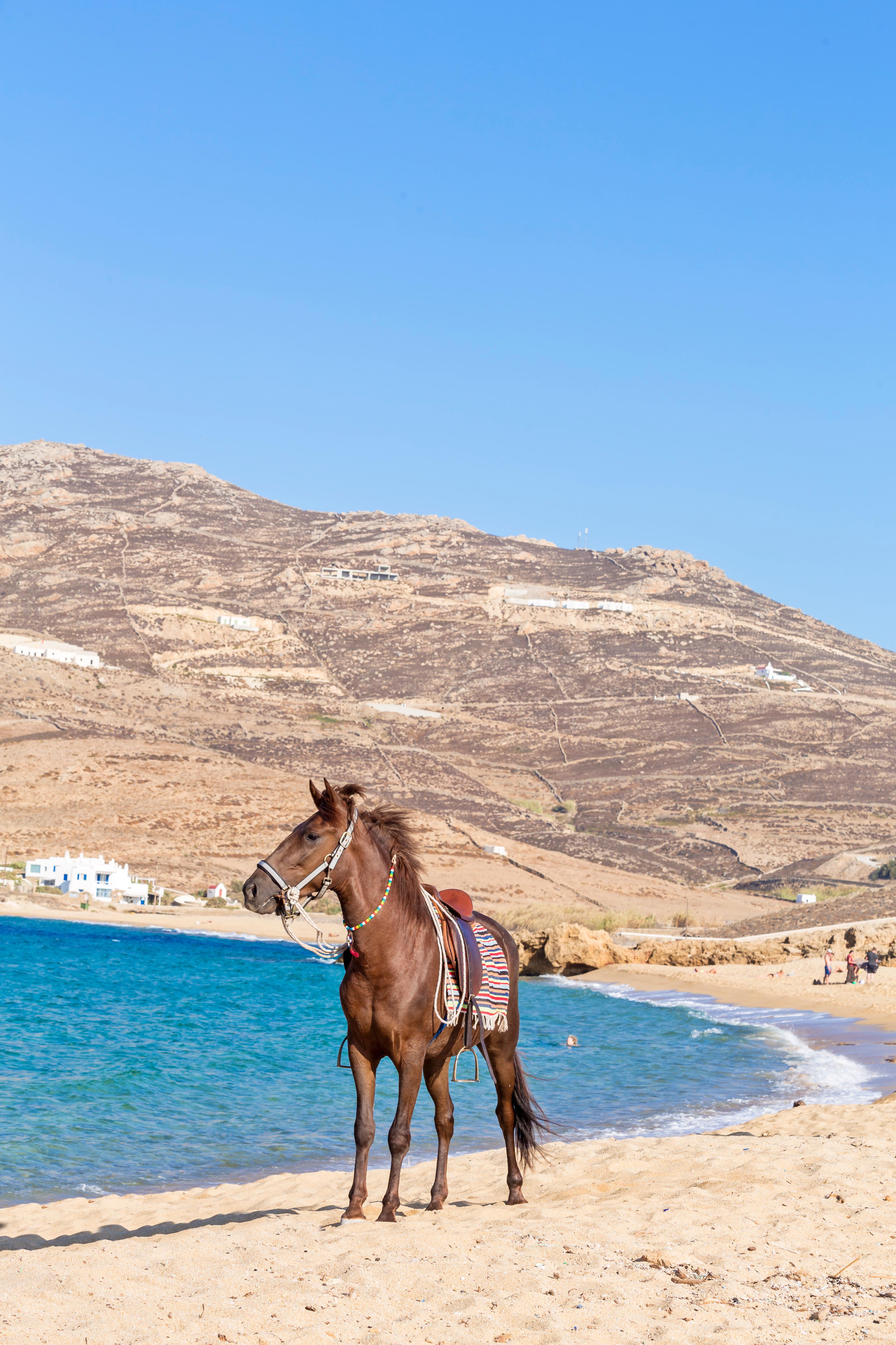 Anamar Mykonos Natural Retreat Ftelia  Ngoại thất bức ảnh