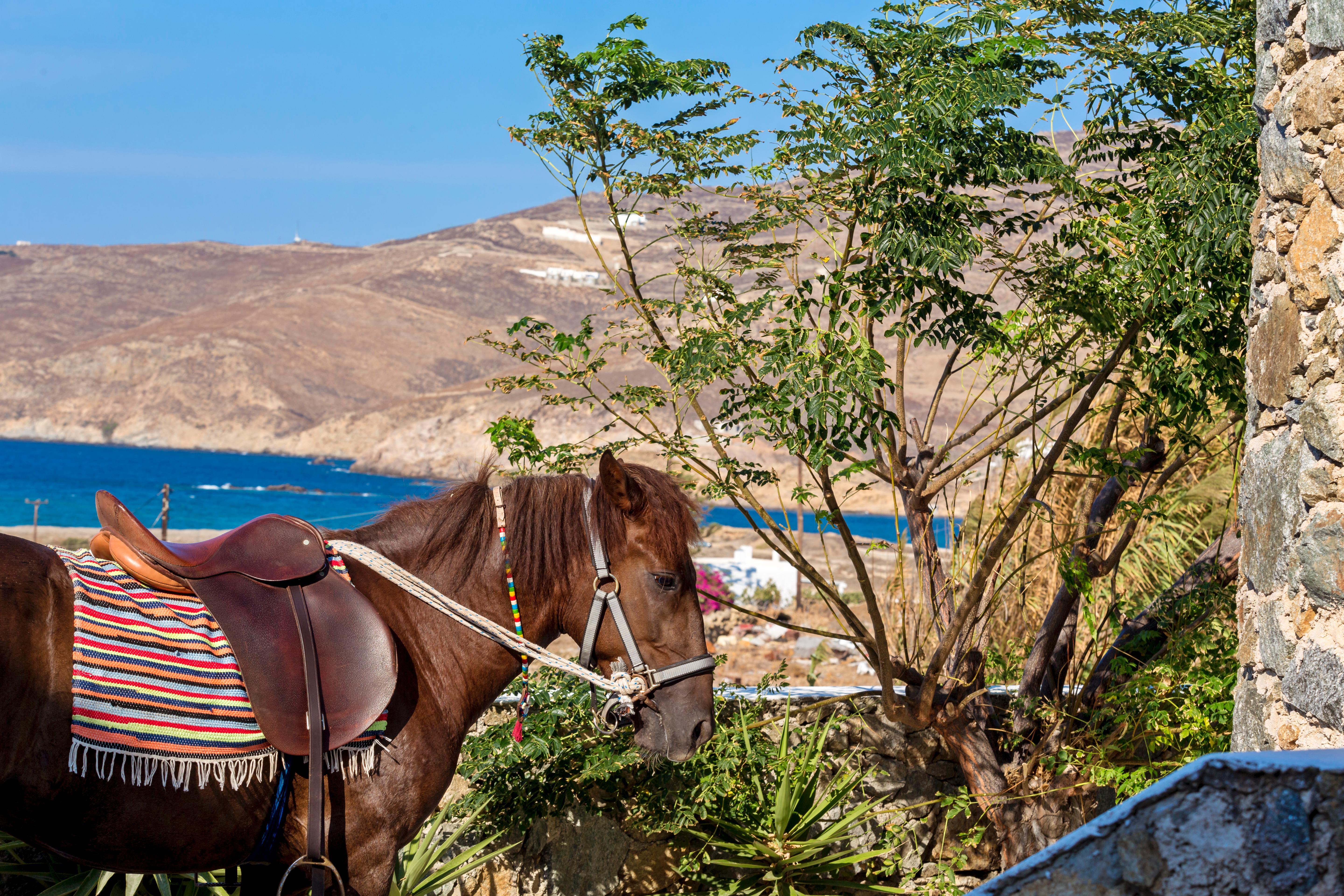 Anamar Mykonos Natural Retreat Ftelia  Ngoại thất bức ảnh